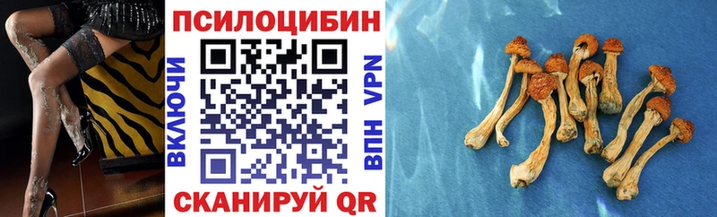 купить  сайты  Карталы  Псилоцибиновые грибы прущие грибы 
