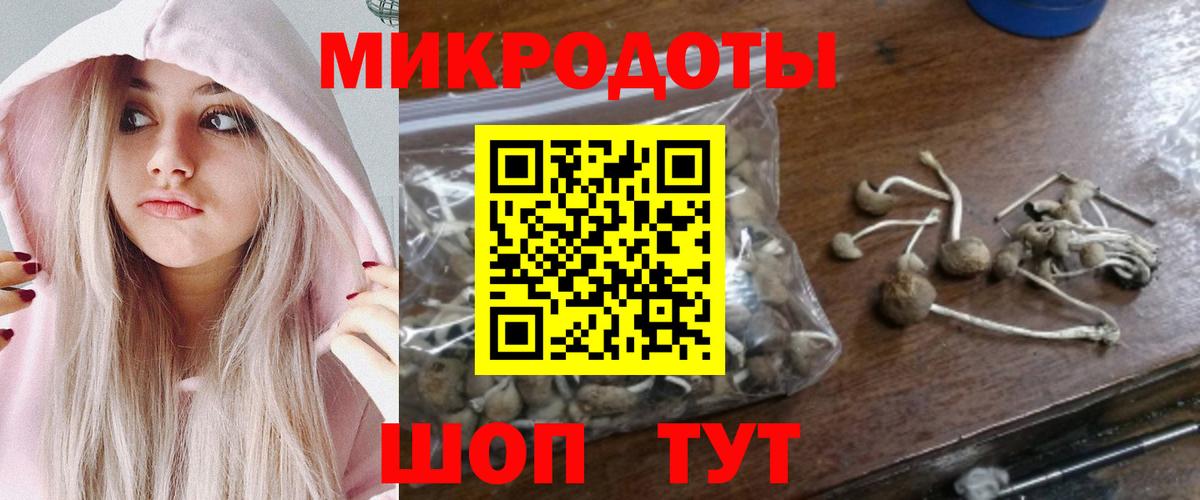 Псилоцибиновые грибы Magic Shrooms Карталы