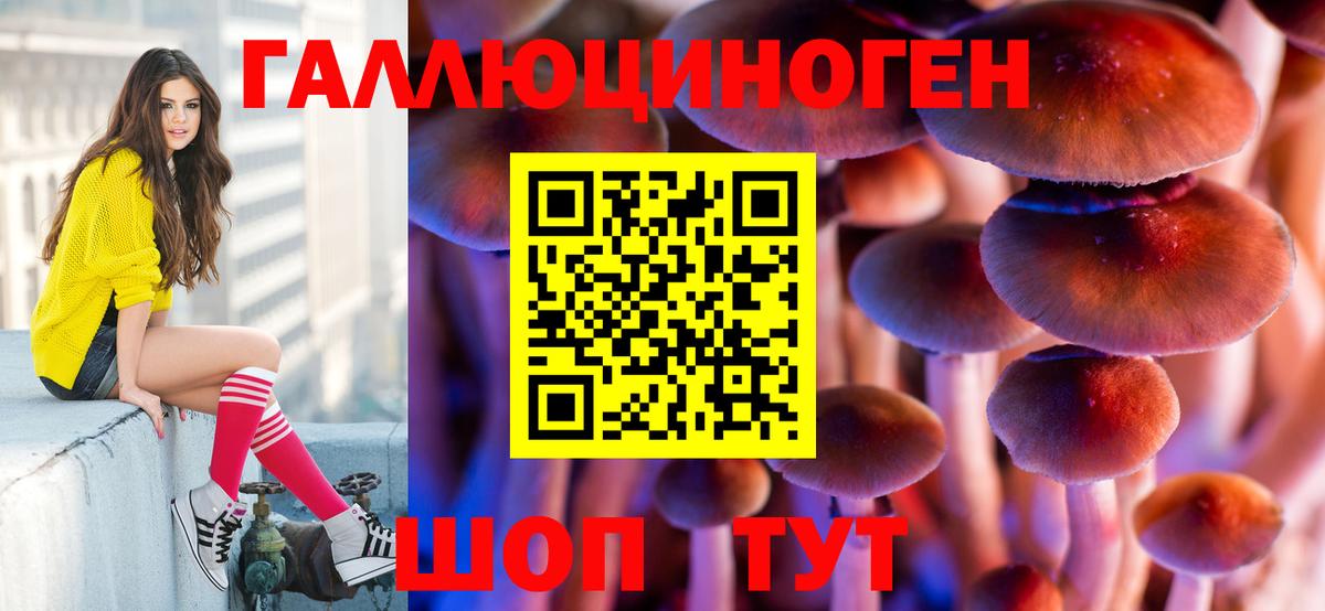 Псилоцибиновые грибы MAGIC MUSHROOMS  Вход с VPN  Псилоцибиновые грибы мицелий  Карталы 