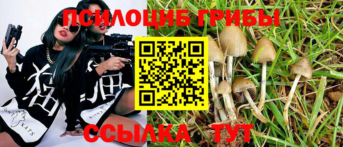где продают   Вход с VPN  Псилоцибиновые грибы мицелий  Карталы  Галлюциногенные грибы MAGIC MUSHROOMS 